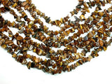 Tiger Eye, 4-9 mm Chips Beads-Gems: Nugget,Chips,Drop-BeadBeyond