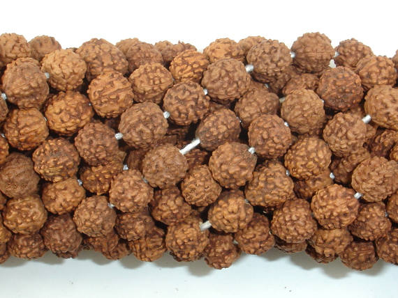 Rudraksha Beads, 7mm-8mm Round Beads-BeadBeyond