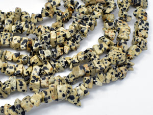 Dalmation Jasper Beads, 4-9mm Chips Beads, 34 Inch-Gems:Assorted Shape-BeadBeyond