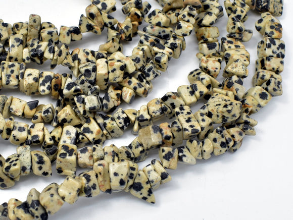 Dalmation Jasper Beads, 4-9mm Chips Beads, 34 Inch-Gems:Assorted Shape-BeadBeyond