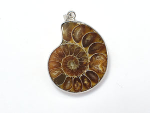 Ammonite Pendant, Fossil Pendant, with Silver Tone Base Metal Bail 1 piece-Gems:Assorted Shape-BeadBeyond