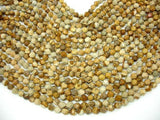 Picture Jasper Beads, 8mm Star Cut Faceted Round Beads-Gems: Round & Faceted-BeadBeyond