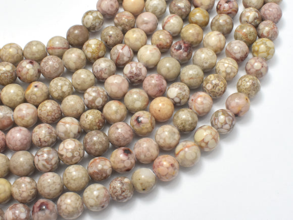 Fossil Jasper Beads, 8mm Round Beads-BeadBeyond