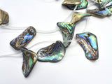 Abalone (18-25)x(28-35)mm Free Form Beads, Side Drilled, 14 Inch-BeadBeyond