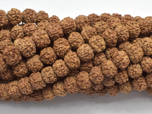 Rudraksha Beads, Approx 7x8mm Rondelle Beads, 29-31 Inch-Wood-BeadBeyond