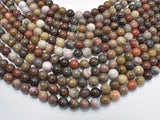 Petrified Wood, 8mm (8.5mm) Round-Gems: Round & Faceted-BeadBeyond