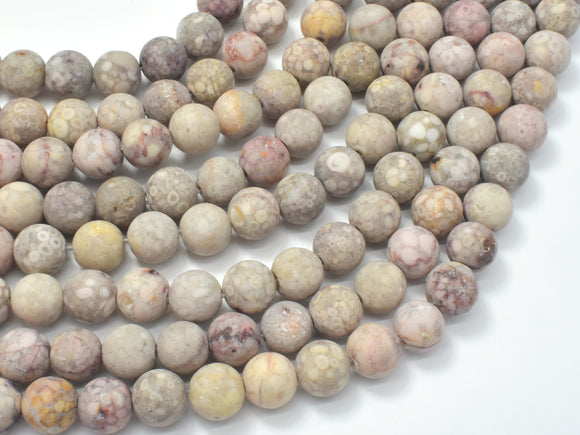 Matte Fossil Jasper Beads, 8mm Round Beads-Gems: Round & Faceted-BeadBeyond