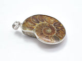 Ammonite Pendant, Fossil Pendant, with Silver Tone Base Metal Bail 1 piece-BeadBeyond