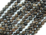 Turritella Agate, Elimia Tenera Fossil Shell, 6mm(6.4mm) Round Beads-Gems: Round & Faceted-BeadBeyond