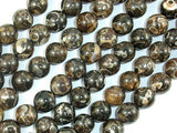 Turritella Agate, Elimia, 10mm Round Beads, 16 Inch-Gems: Round & Faceted-BeadBeyond