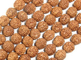 Rudraksha Beads, 9mm-9.5mm Round Beads-Wood-BeadBeyond
