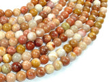 Petrified Wood, 8mm Round Beads-Gems: Round & Faceted-BeadBeyond