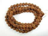Rudraksha Beads, 7.5mm-8.5mm Round Beads-Wood-BeadBeyond