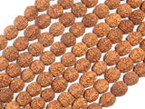 Rudraksha Beads, 7.5mm-8.5mm Round Beads-Wood-BeadBeyond