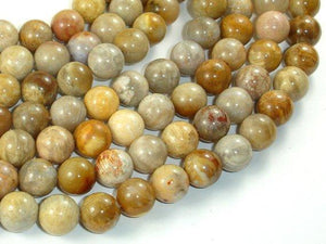 Fossil Coral Beads, 10mm, Round Beads-Gems: Round & Faceted-BeadBeyond