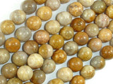 Fossil Coral Beads, 10mm, Round Beads-Gems: Round & Faceted-BeadBeyond