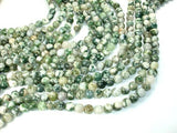 Tree Agate Beads, Round, 8mm-Gems: Round & Faceted-BeadBeyond