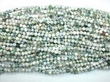 Tree Agate Beads, Round, 6mm-Gems: Round & Faceted-BeadBeyond