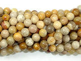 Fossil Coral Beads, 7mm, Round Beads-Gems: Round & Faceted-BeadBeyond