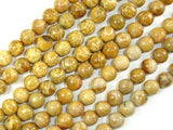 Fossil Coral Beads, 8mm Round Beads-Gems: Round & Faceted-BeadBeyond