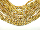 Fossil Coral Beads, 8mm Round Beads-Gems: Round & Faceted-BeadBeyond