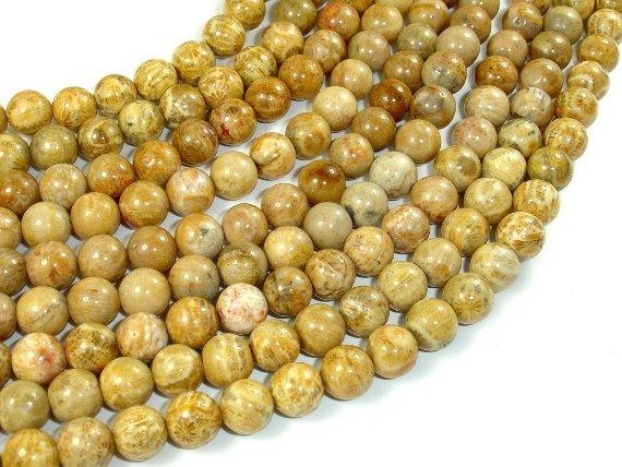 Fossil Coral Beads, 8mm Round Beads-Gems: Round & Faceted-BeadBeyond