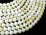 Tridacna Shell, 8mm Round Beads-Gems: Round & Faceted-BeadBeyond