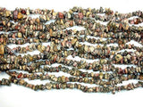 Leopard Skin Jasper, 4-9mm Chips Beads-Gems: Nugget,Chips,Drop-BeadBeyond