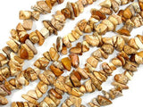 Picture Jasper, 4mm - 9mm Chips Beads, Long full strand-Gems: Nugget,Chips,Drop-BeadBeyond
