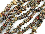 Leopard Skin Jasper, 4-9mm Chips Beads-Gems: Nugget,Chips,Drop-BeadBeyond