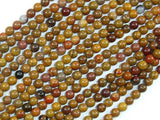 Rainbow Petrified Wood Jasper, 4mm Round Beads-Gems: Round & Faceted-BeadBeyond